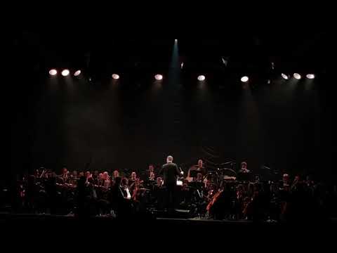 Goldfinger. Prisca Demarez