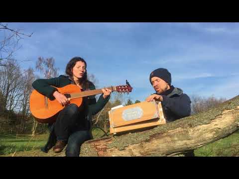 Gaiatrees - May the long time sun