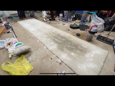 Why you should NEVER put baking soda or carpet freshener in your carpet!!