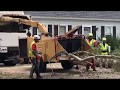 Cape Cod Tree Removal