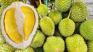 Bà Chủ Trổ Tài Khui Sầu Riêng Musang King Và Cái Kết.
