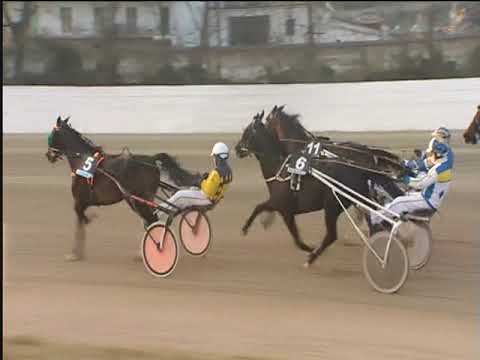 Trotto 20/02/2019 - 4ª corsa