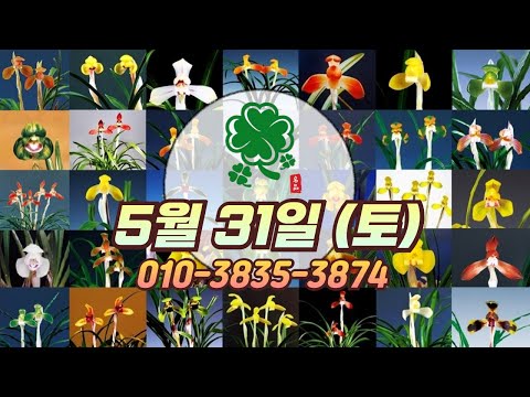 유튜브 썸네일