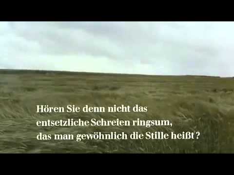The Enigma of Kaspar Hauser (1974 - beginning, grass, Pachelbel's Canon)
