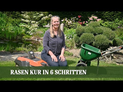 Rasen Pflege - Anleitung für das ganze Jahr in 6 einfachen Schritten