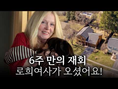 “진짜 나나예요?” 6주 만의 기적같은 재회에 아이들이 얼어버렸어요.