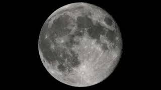 엠씨더맥스 9집 물그림 cover