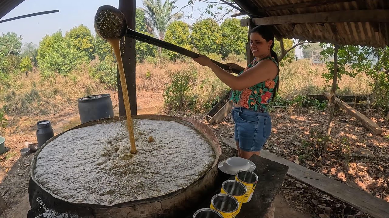 ROTINA NA ROÇA CORTAMOS CANA E FIZEMOS RAPADURA OLHA QUANTAS QUE DEO