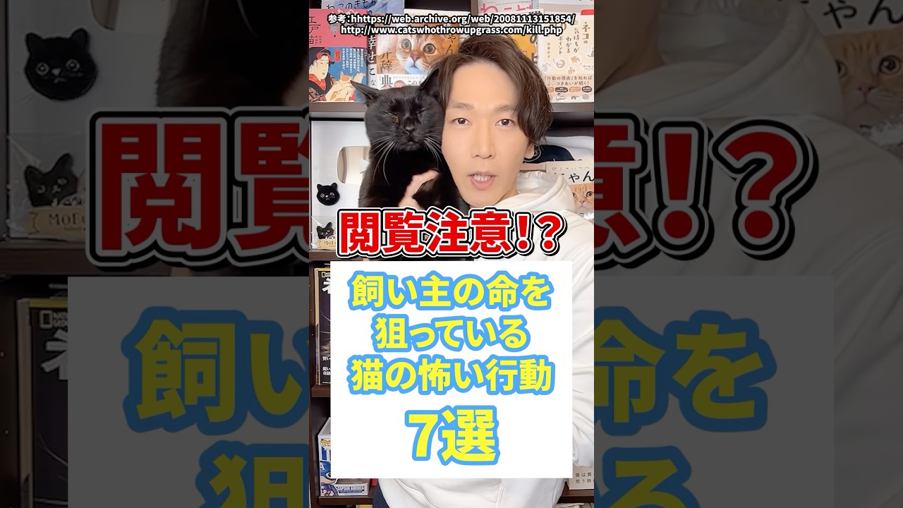 閲覧注意！？飼い主の命を狙っている猫の怖い行動７選 #猫 #猫好きさんと繋がりたい #ねこのいる生活