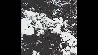 The Heart Music Video