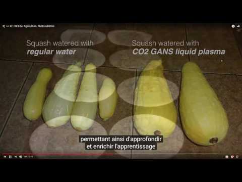 2016 11 24 PM Public Teaching in French - Enseignements publics en français