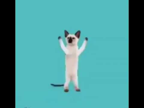 Спільнота Steam :: Sarudna