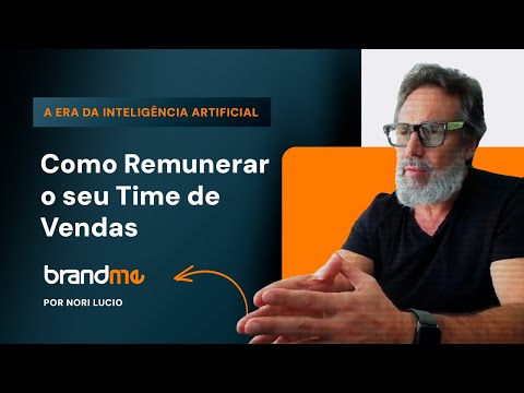 Como remunerar o Time Vendas ?