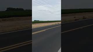 1988 Pontiac Trans Am GTA Notchback-Drive By