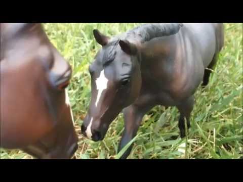 download lagu mp3 mp4 Breyer Retailer, download lagu Breyer Retailer gratis, unduh video klip Breyer Retailer