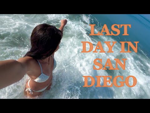 Sdsu Winter Session