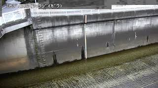 宮宿橋映像監視局