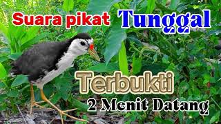 Download lagu SUARA PIKAT BURUNG RUAK RUAK TUNGGAL TERBUKTI 2MENIT LANGSUNG DATANG (BITDRAP) mp3 Download lagu SUARA PIKAT BURUNG RUAK RUAK TUNGGAL TERBUKTI 2MENIT LANGSUNG DATANG (BITDRAP) mp3