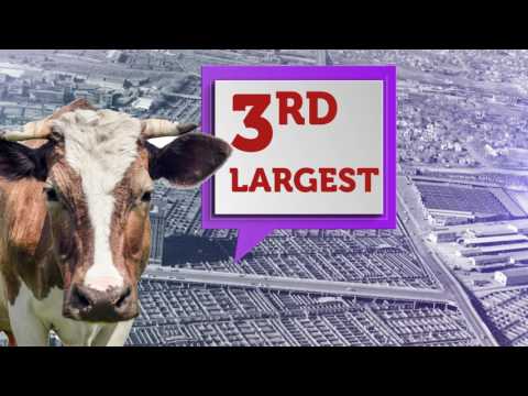 17.5 - Union Stockyards