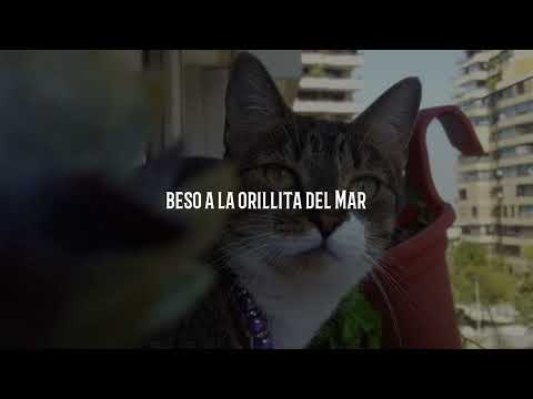 Arboles en el tejado - Rupatrupa