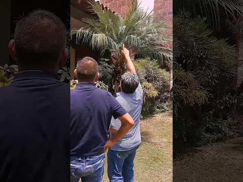 Contáctanos, cotizamos tu proyecto sin costo, diseño estructural, supervisión de obra, dictamen 😎👍