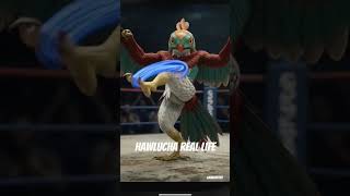 #pokemon #pokemonchannel #hawlucha