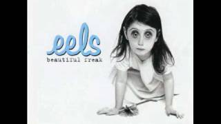 Eels - Flower