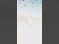 O Sudh Budh Khoi Hai Khoi Maine Love WhatsApp Status