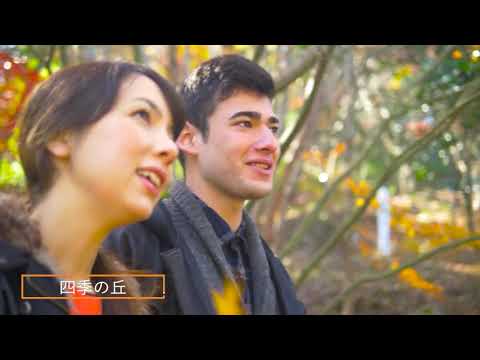九州 大分 中津 耶馬渓 紅葉 観光