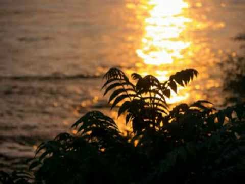 Sei unser Heil / Nunc dimittis (Evensong am 11.11.2013)