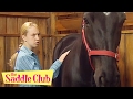 Saddle Club Tenderfoot And Bloodlines Saddle Club Season 2 Saddle Club Full