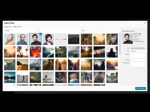 Vidéo YouTube