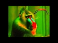 Mandrill = Love Song