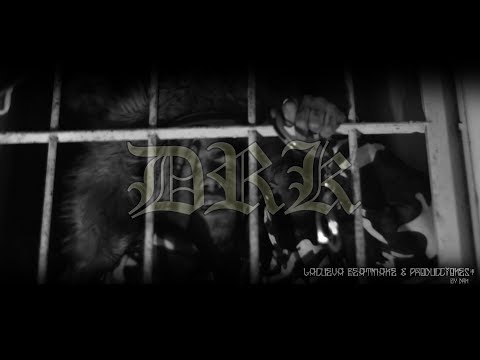 DRK RODRIGUEZ - NEGOCIOS Y ZORRAS (FT. DJ HATZ)