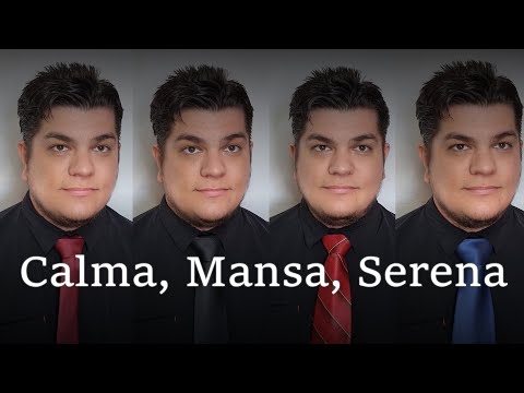 Calma, Mansa, Serena | Bass Singer Cover by Marcelo Schild