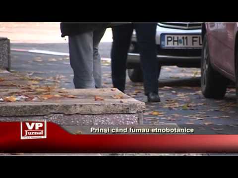 Prinsi cand fumau etnobotanice