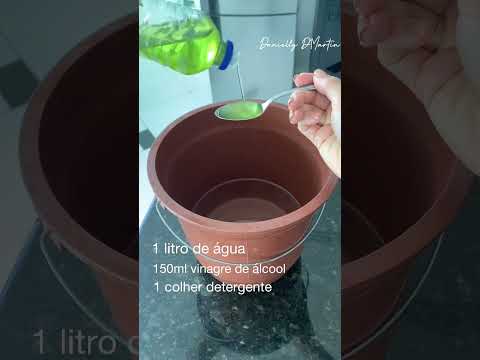 CHÃO MANCHADO NUNCA MAIS! Misturinha caseira para deixar piso brilhando e cheiroso ✨