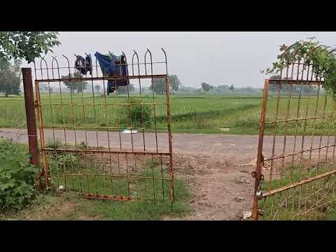  Agricultural Land 23 Acre for Sale in Thirukanurpatti, Thanjavur