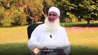 30 - الجزء الثلاثون |( #قرآنا_عجبا )| الشيخ محمد حسين يعقوب image