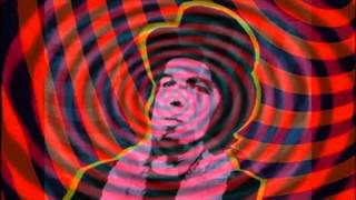 CAPTAIN BEEFHEART    RUN PAINT! RUN! RUN!