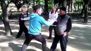 Maestro de kung fu pelea