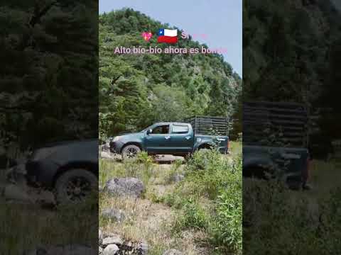 alto bío-bío
