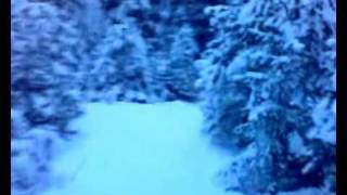 preview picture of video 'Ski inn Uvdal 09.'