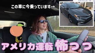 アメリカ運転怖っっ…カローラで感じたリアル運転事情