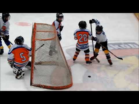 Dárius Krejčí - 3.sezona (HC Lvi 2009, ročník 2011) 2019-20