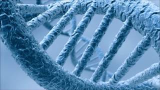 Epigenetics: How You Live Can Switch On And Off Certain Genes