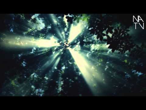 Sander van Doorn - Koko (Nicholas Antony Whistler Remix).mp4