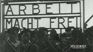 Arbeit Macht Frei | Holocaust Electronic Field Trip