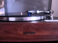 Clams Casino - Gorilla (Vinyl) 