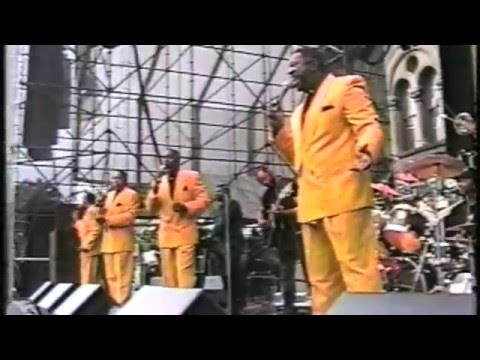 The Softones at Art Scape 1997